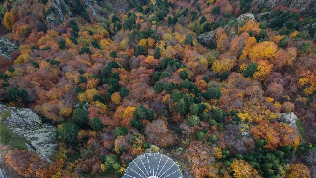 Uludağ'da sonbahar renkleri hakim oldu 10