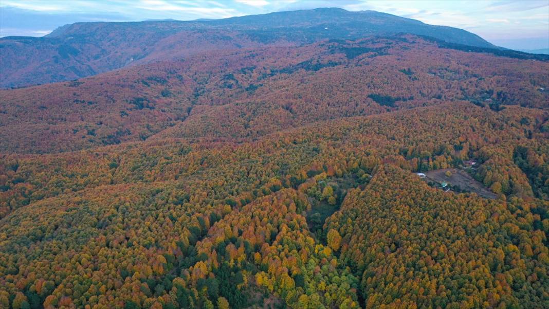 Uludağ'da sonbahar renkleri hakim oldu 12