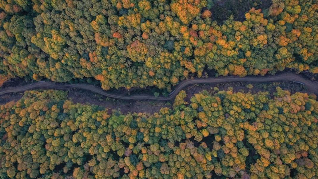 Uludağ'da sonbahar renkleri hakim oldu 2
