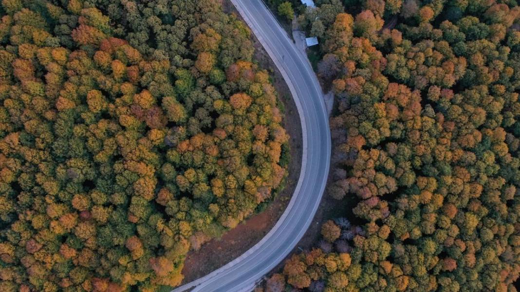 Uludağ'da sonbahar renkleri hakim oldu 5