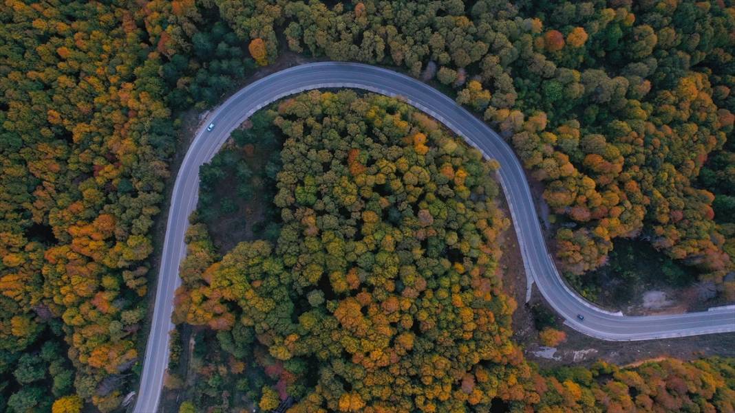 Uludağ'da sonbahar renkleri hakim oldu 7