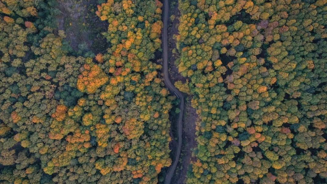 Uludağ'da sonbahar renkleri hakim oldu 8