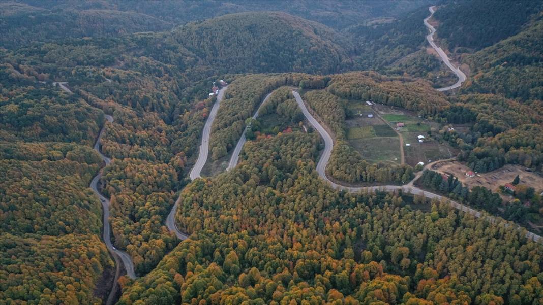 Uludağ'da sonbahar renkleri hakim oldu 9