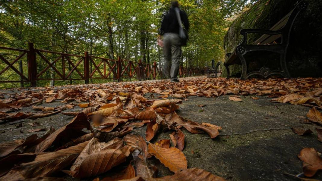 Suuçtu Şelalesi sonbahar renkleriyle ziyaretçilerini karşılıyor 4