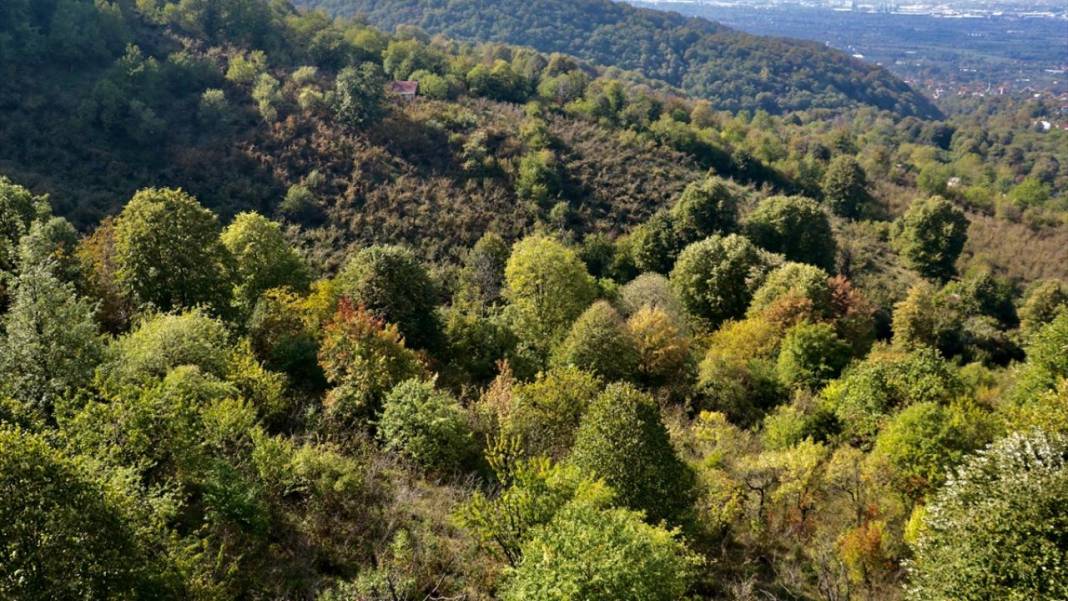 Teleferikten 360 derecelik açıyla sonbahar renkleri 1