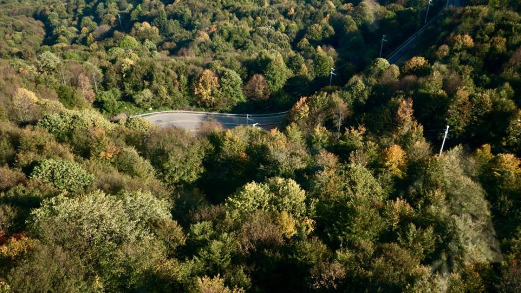 Teleferikten 360 derecelik açıyla sonbahar renkleri 11
