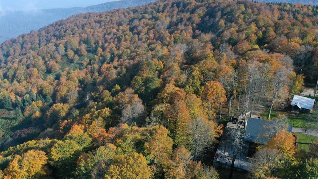 Teleferikten 360 derecelik açıyla sonbahar renkleri 13