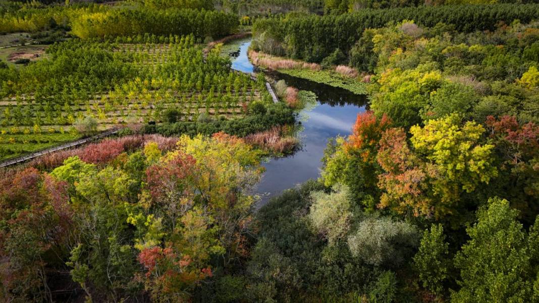 Büyük Melen Çayı havzasında İlahi Sanat sergisi 1