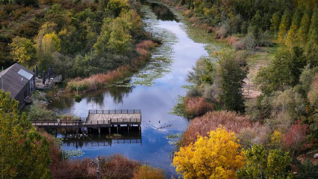 Büyük Melen Çayı havzasında İlahi Sanat sergisi 10