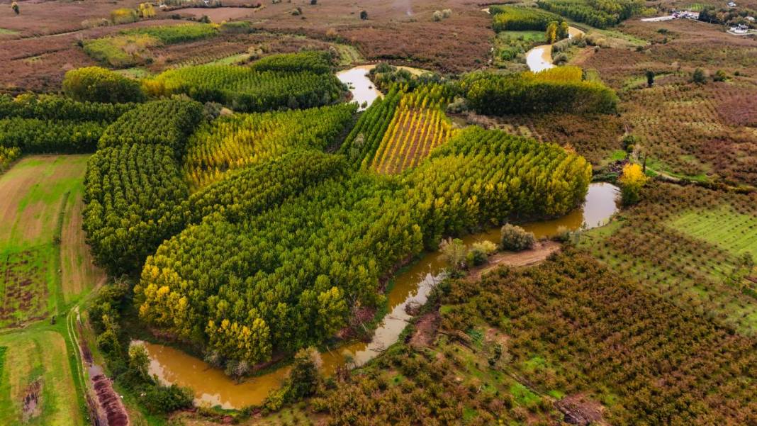Büyük Melen Çayı havzasında İlahi Sanat sergisi 13