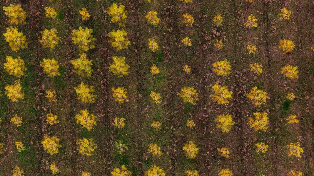 Büyük Melen Çayı havzasında İlahi Sanat sergisi 14