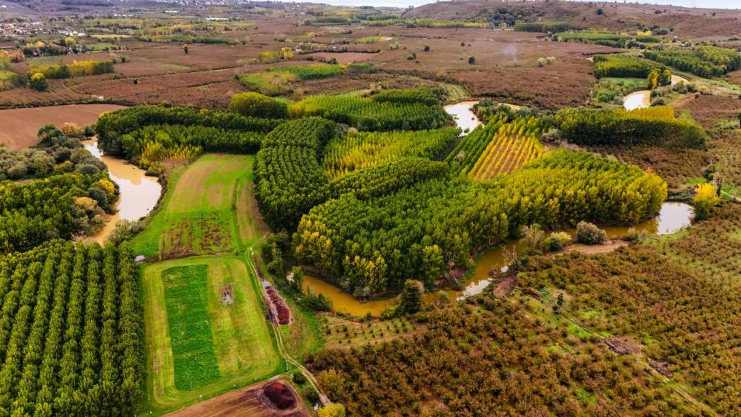 Büyük Melen Çayı havzasında İlahi Sanat sergisi 15