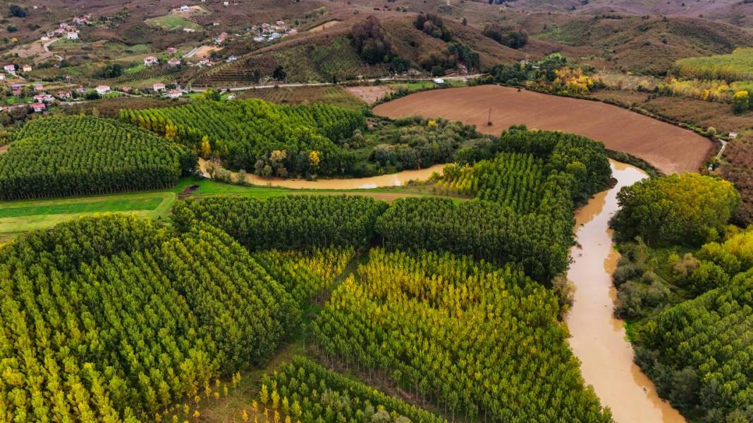 Büyük Melen Çayı havzasında İlahi Sanat sergisi 16