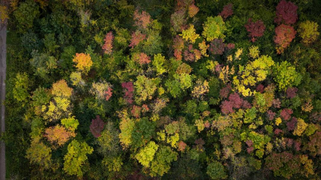 Büyük Melen Çayı havzasında İlahi Sanat sergisi 19