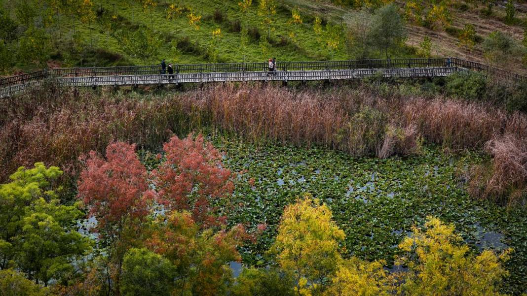 Büyük Melen Çayı havzasında İlahi Sanat sergisi 3
