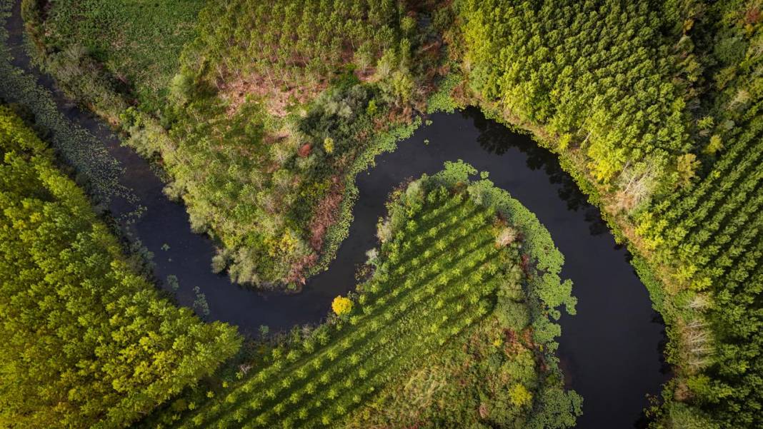 Büyük Melen Çayı havzasında İlahi Sanat sergisi 4