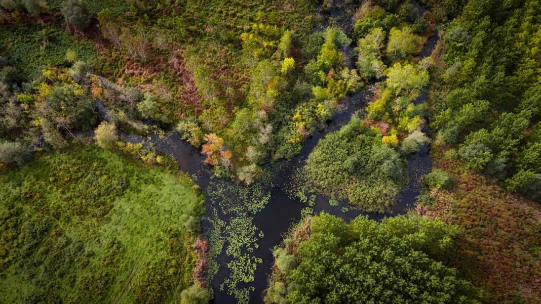 Büyük Melen Çayı havzasında İlahi Sanat sergisi 7