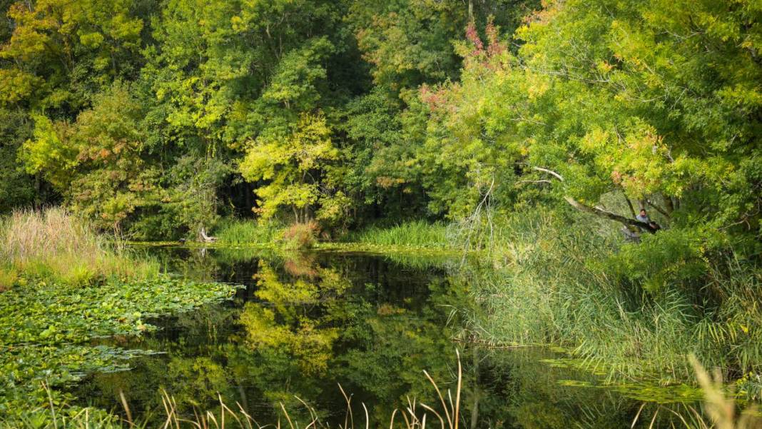 Büyük Melen Çayı havzasında İlahi Sanat sergisi 8