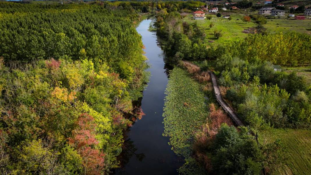 Büyük Melen Çayı havzasında İlahi Sanat sergisi 9
