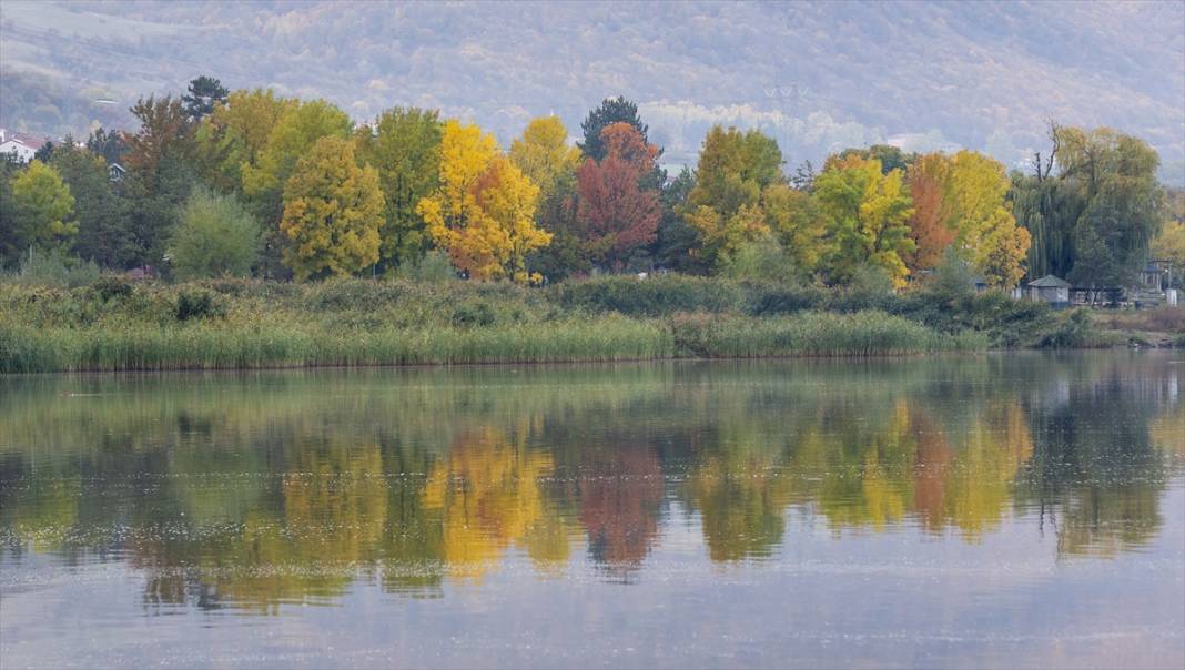 Yeniçağa Gölü Kuş Cenneti'nde sonbahar renkleri hakim oldu 1