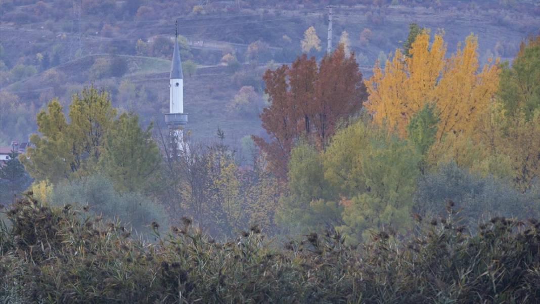 Yeniçağa Gölü Kuş Cenneti'nde sonbahar renkleri hakim oldu 11