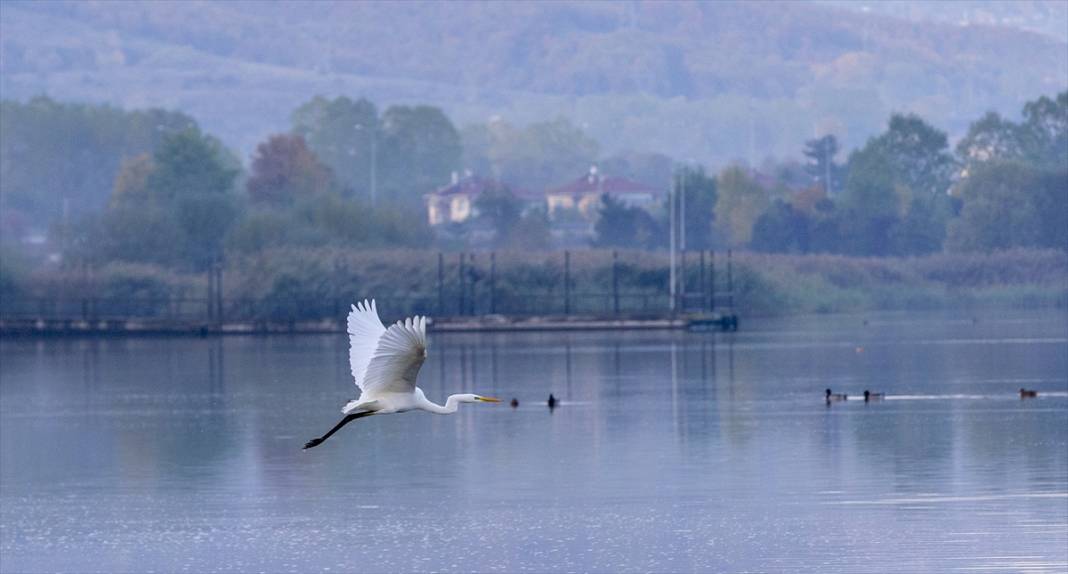 Yeniçağa Gölü Kuş Cenneti'nde sonbahar renkleri hakim oldu 5