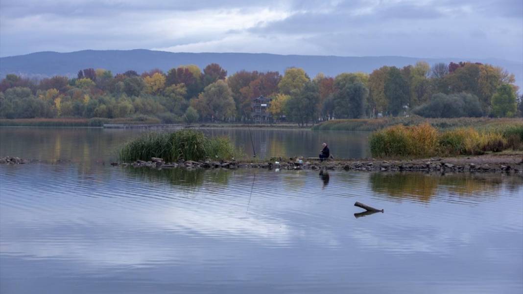 Yeniçağa Gölü Kuş Cenneti'nde sonbahar renkleri hakim oldu 6