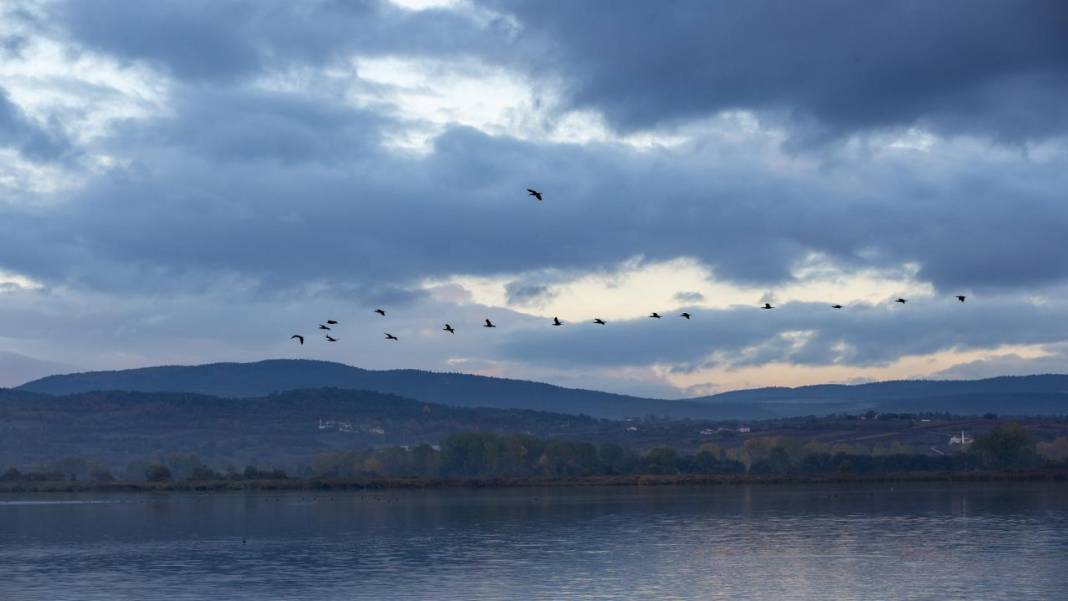 Yeniçağa Gölü Kuş Cenneti'nde sonbahar renkleri hakim oldu 7