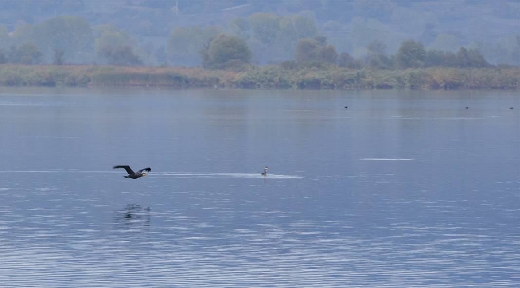 Yeniçağa Gölü Kuş Cenneti'nde sonbahar renkleri hakim oldu 8