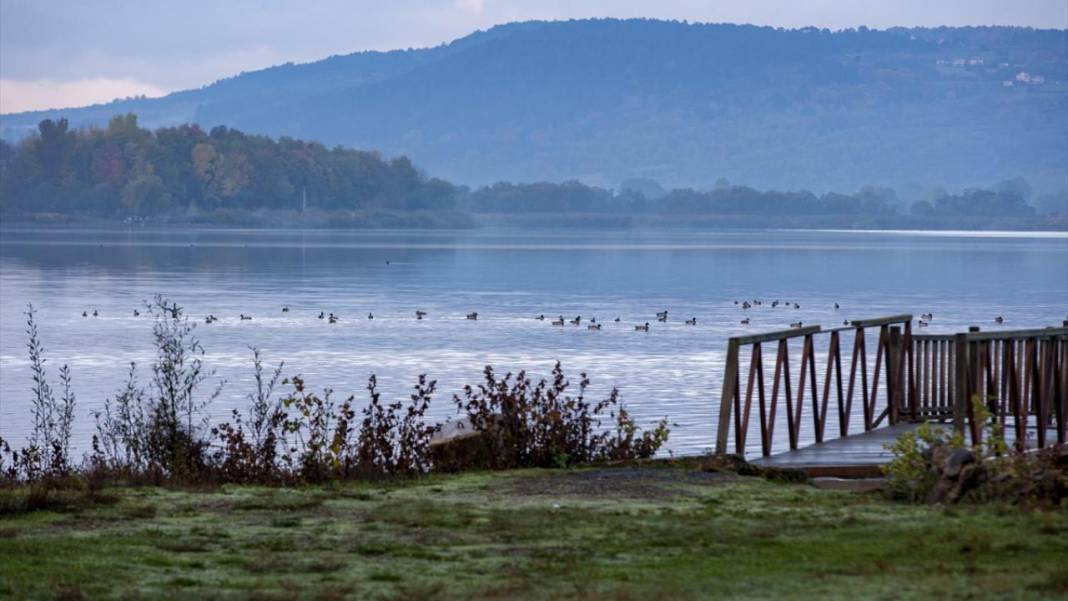 Yeniçağa Gölü Kuş Cenneti'nde sonbahar renkleri hakim oldu 9