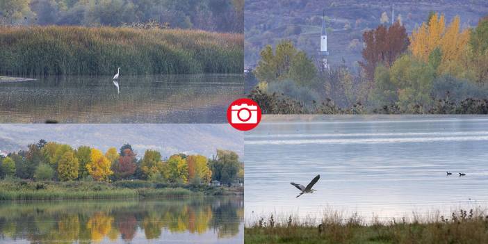 Yeniçağa Gölü Kuş Cenneti'nde sonbahar renkleri hakim oldu