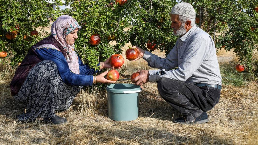Fotoğrafların Diliyle Kâhta 18