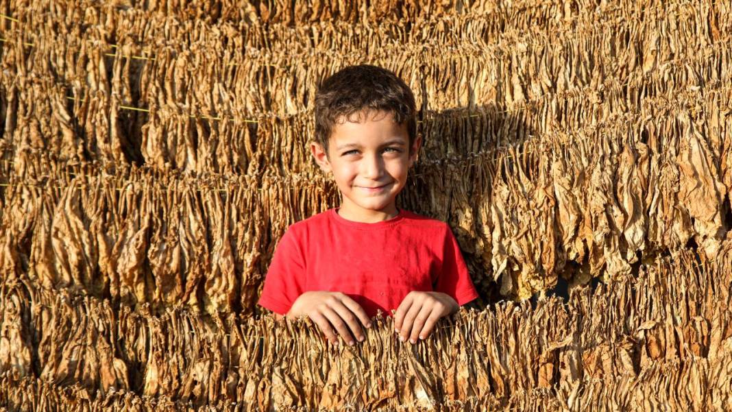 Fotoğrafların Diliyle Kâhta 19