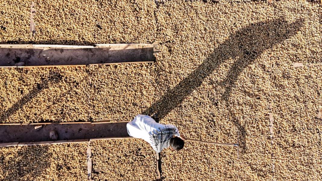 Fotoğrafların Diliyle Kâhta 23