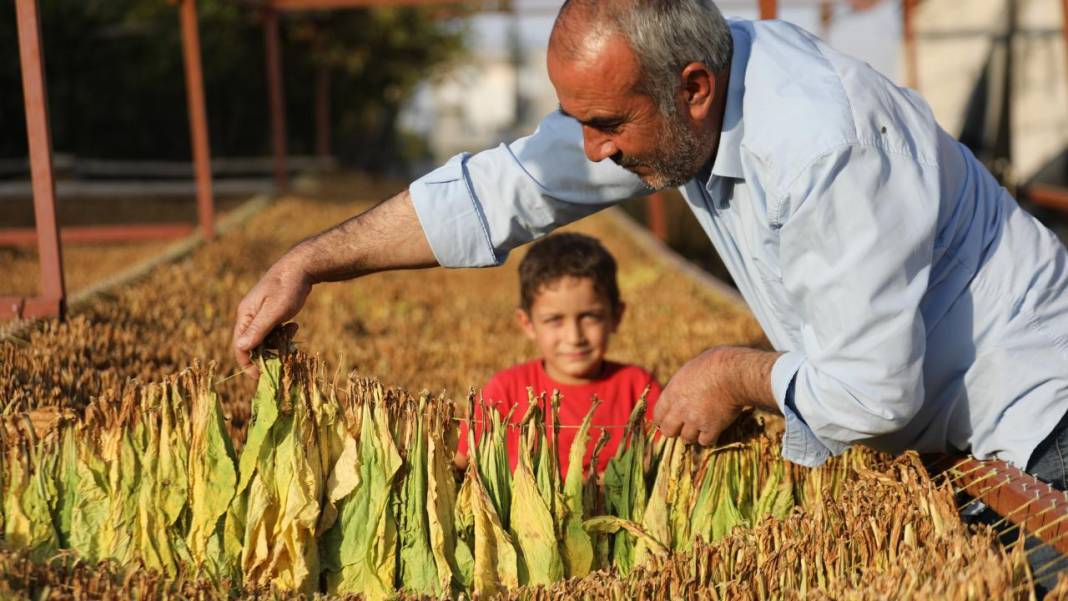 Fotoğrafların Diliyle Kâhta 5