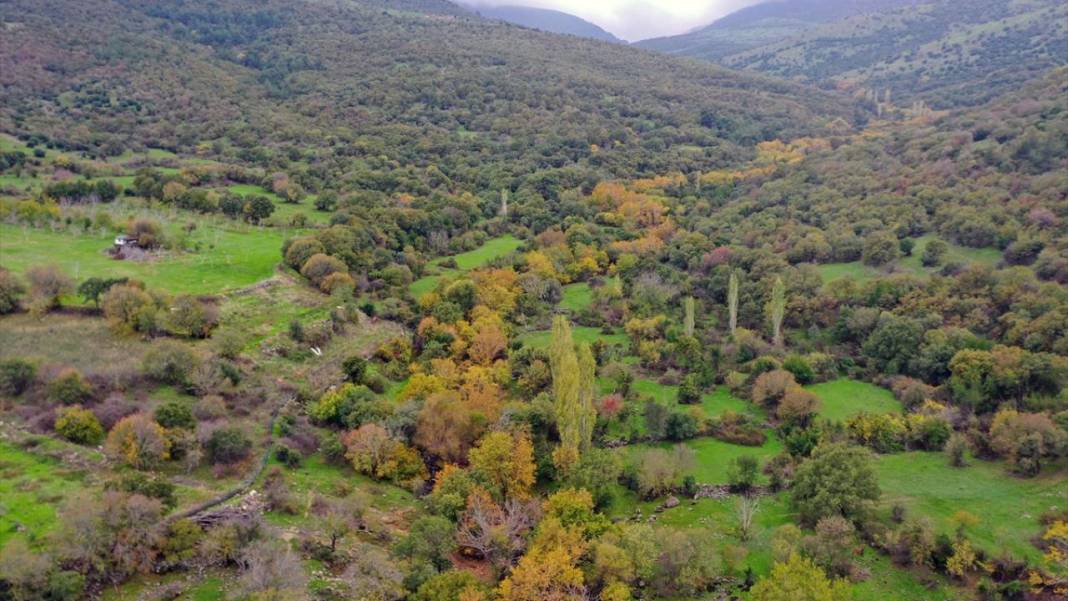 Yunt Dağları hazan rengine büründü 1
