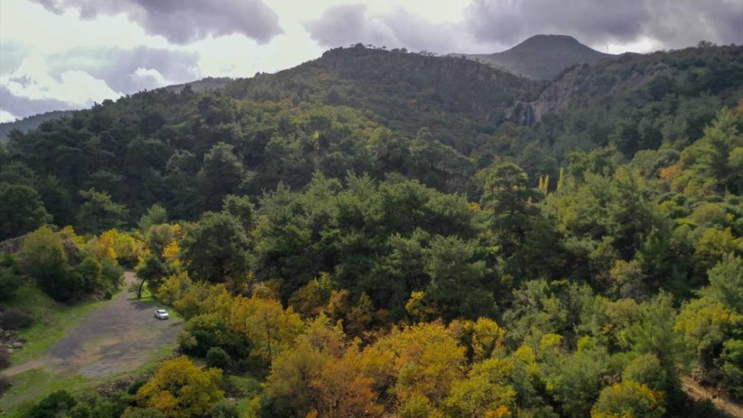 Yunt Dağları hazan rengine büründü 13