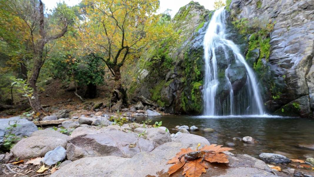 Yunt Dağları hazan rengine büründü 2