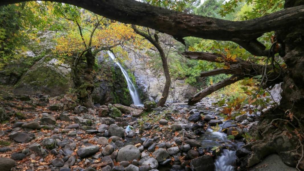 Yunt Dağları hazan rengine büründü 4