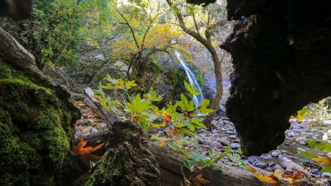 Yunt Dağları hazan rengine büründü 5