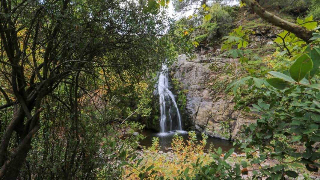 Yunt Dağları hazan rengine büründü 6