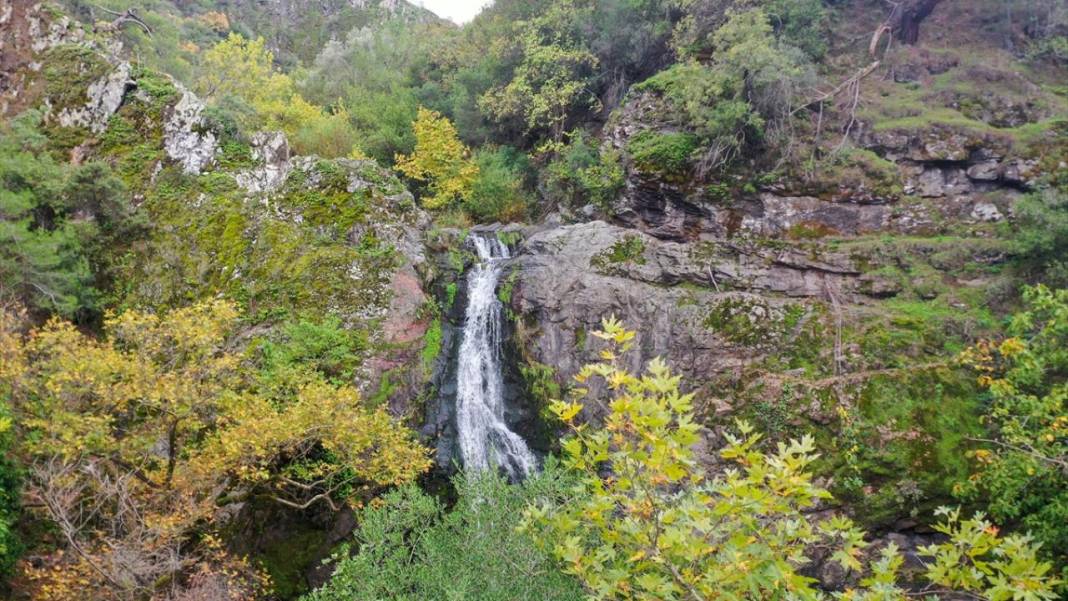 Yunt Dağları hazan rengine büründü 8