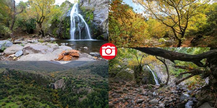 Yunt Dağları hazan rengine büründü