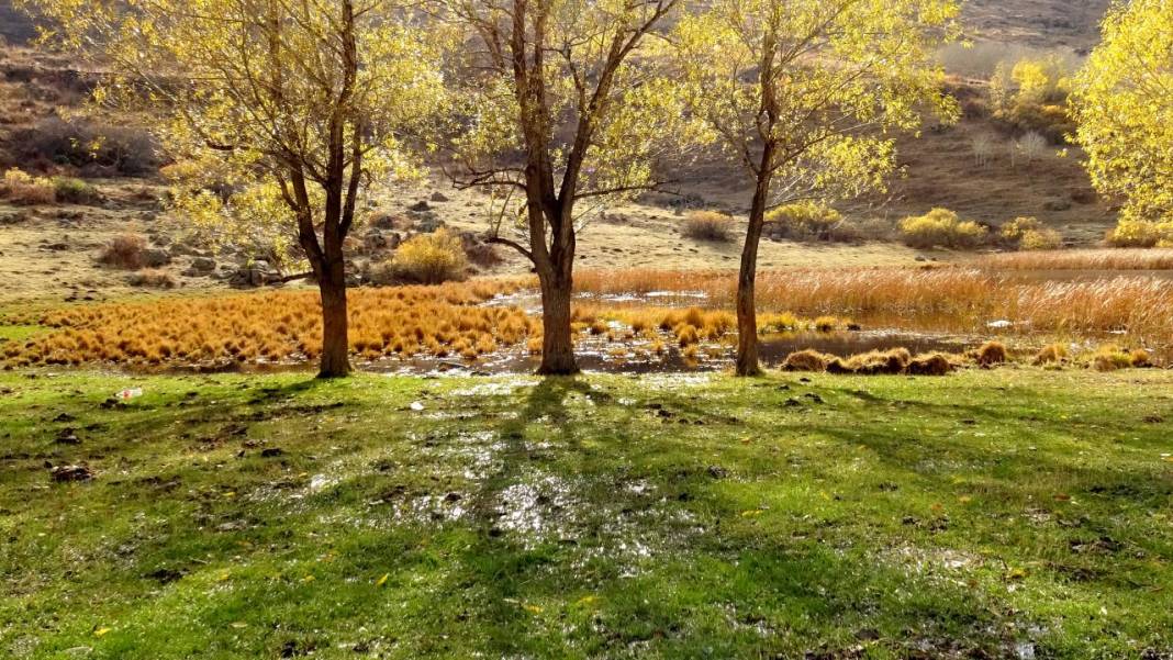 Kars'ta sonbaharın son güzellikleri yaşanıyor 5