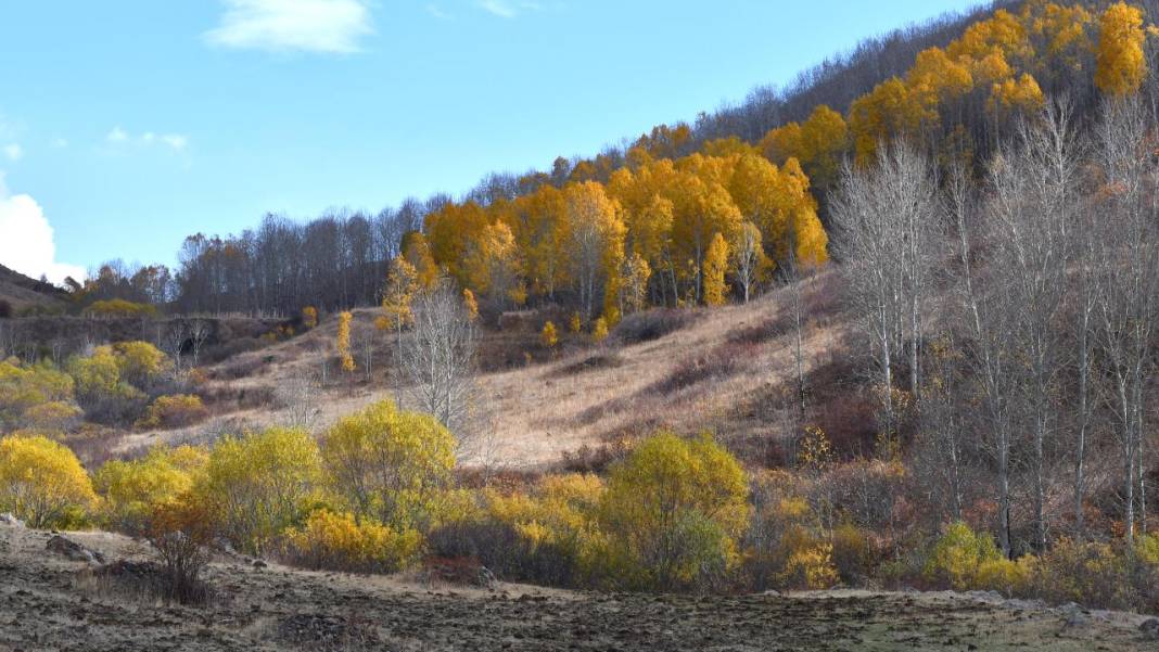 Kars'ta sonbaharın son güzellikleri yaşanıyor 9