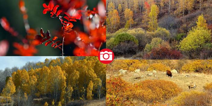 Kars'ta sonbaharın son güzellikleri yaşanıyor
