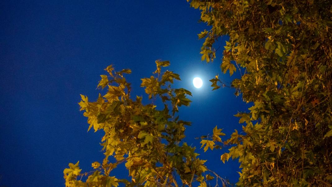 Antalya'da gün batımı 10