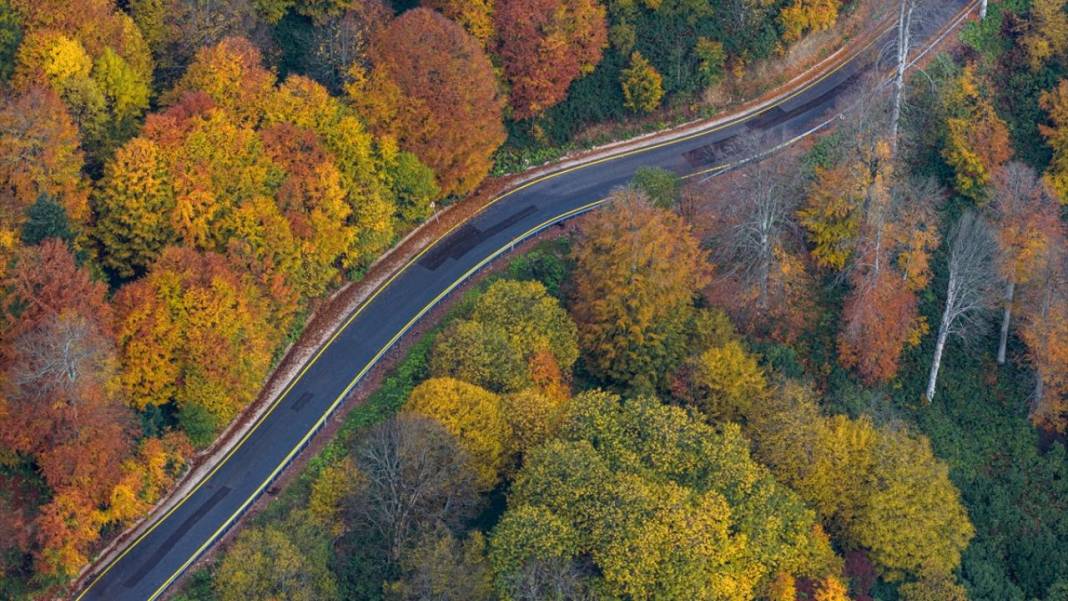 Kartepe’de sonbahar tefekkürü 11