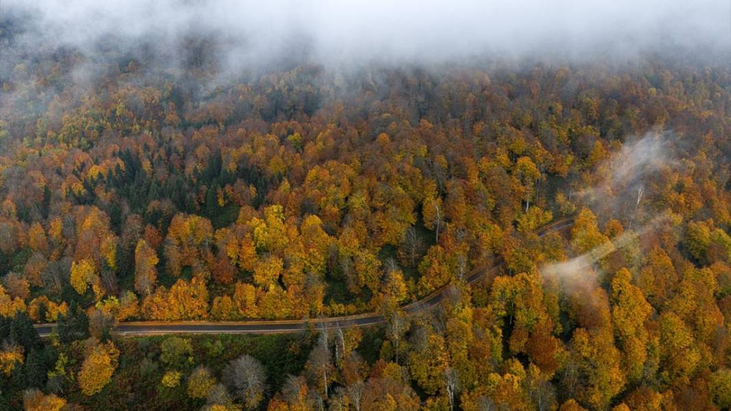 Kartepe’de sonbahar tefekkürü 12