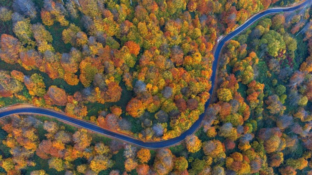 Kartepe’de sonbahar tefekkürü 13